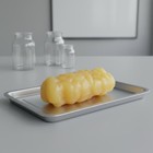 Human Adipose Model Realistic Fake Adipose Display Tray Full Body For Trainers