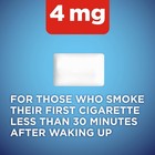 Nicotine Polacrilex Coated Gum 4mg Ice Mint Flavor Smoking Cessation