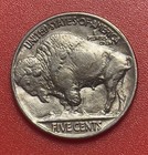 1916 P Buffalo Nickel  Choice To Gem Uncirculated 