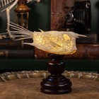 Real Longhorn Cowfish Skeleton Night Light Boxfish Gothic Oddities Lamp Decor