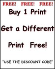 Buy 1 Get Any 1 Free Collectable Photo Art Cute Bikini Model Print 333 38