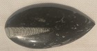 Greg Ramer    fossil Man    Signed  Stone