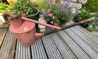 Antique Rare Red Haws 4 Galleon Galvanised Long Reach Watering Can Zinc Label