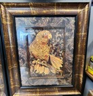 Set Of 2 Vintage Persian Style Print Of Golen Parrot Framed 26 X 22 X 1 1 2
