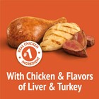 Purina Friskies Party Mix Cat Treats  Original Crunch Snacks  20 Oz  Canister  