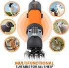 Sheep Shears Electric 850w Professional Heavy Duty Shearing Clipper With 6 Speed