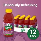 Berry Blend Flavored Juice Beverage  16 Fl Oz Bottle  12 Pack 