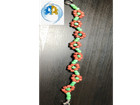 African Nigerian Orula Bracelet ilde Ide Idde De Orula De Africa Nigeria