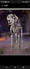 New Home Accents Holiday Home Depot 7 Ft Skelly   s Dog 2024 Ed  In Hand