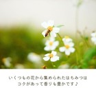 Japanese Raw Honey 200g  unheated   Hida  Gifu Prefecture