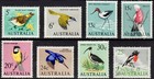 1966 Australian Birds Mnh Full Blocks Set  5c-30c  Stamps First Decimal Series