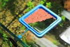 Float Fish Food Feeder Ring  Plant Marine Reef Aquarium Marine Tank Easy Setup
