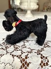 Vintage Steiff Snobby Black Poodle