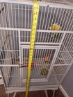 X-large Bird Cages