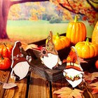 Maitys 3 Pieces Fall Tiered Tray Decor Wooden Gnomes Signs Gnomes    