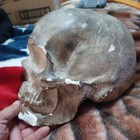 Antique Plaster Cast Of A Skull -  - Real Skull Casting