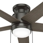 Hunter Fan 44 In Low Profile Noble Bronze Ceiling Fan With Light And Pull Chain