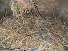 Shipping Spaghetti     biodegradable Packing Peanuts Alternative 