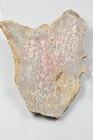 Orange Agatized Dinosaur Bone  New Mexico  120 Grams