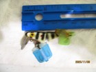 Vintage Falls Inch Minnow Lure