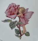 Flower Fairies Coll    reutter Germany Child   s Plate Bowl Cup    frederick Warne
