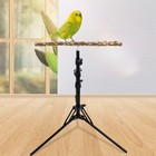 16-63 Inch Height Adjustable Bird Perch Stand Natural Pepper Wood Parrot Perc