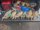 6 Assorted Duck Decoys Ducks Unlimted Flambeau And More