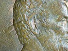 1984 D Lincoln Cent  Error Coin  Planchet Error And Die Chips