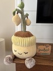 Sold Out- Rare Lemon Plant Greenhouse Limited Edition