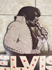 1971 Elvis Presley I Got Lucky Record Rack Backer Store Display Rare Vintage