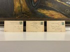 Lot Of 3 - Early 1900s - Antique Rotograph Postcards - Cats   Dogs - Reading
