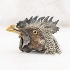 Chicken Rooster  Head Mount Specimen Crafts Oddity Curiosity Diy Bird Doll Head