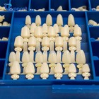 New Polycarbonate Temporary Dental Crowns Box Kit 360 Pcs W  Crown Mold Guides