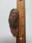 383- Heartwood  Loose Heartwood  Loose Tamarind Heartwood 