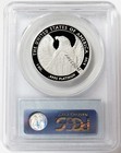 2007 W Proof Platinum  100 American Eagle 1 Oz Statue Of Liberty Pcgs Pr 70 Dcam