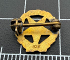 Vintage Order Of The Eastern Star Masonic Pin  10k Gold