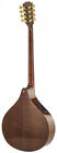 Concert Irish Bouzouki With Eq   Soft Case