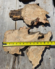 Live Edge Ink Line Spalted Alder Wood Slabs Set Of Three 