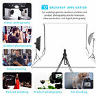 Solid Colors Backdrop Photography Vinyl Studio Props Photo Decor Background