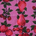 Vtg 100  Cotton Mcm Strawberry Fruit Pink Red Terry Kitchen Towels Nos Kitsch 