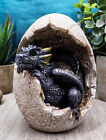 Fossil Twilight Onyx Dragon Hatchling Breaking Out Of Egg Shell Figurine