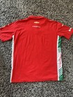 Prema Racing Indy 500 Pole Pit Crew Shirt Robert Schwartzman  2x  4x