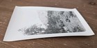 Rare 4x6 1920s Photo  Jerusalem  Holy Land British Mandate Palestine