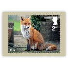 Gb 2025 Garden Wildlife Phq Postcards Set Of 10  Mint Condition - Sealed Pack