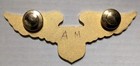 Obsolete Ups Airline Pilot Wing - Named To  am  United Parcel Service Cb