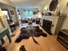 Buffalo Hide Native American Buffalo Robe Earth Pigment Paints Western Tribal