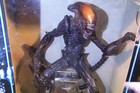 Alien Vs Predator  Alien Redhead Xenomorph Warrior 9 In Deluxe Action Figure New