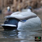 Avery Greenhead Gear Ls Pro Grade Mallard No-head Duck Decoys Pg