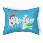 Toy Story Twin Quilt Set