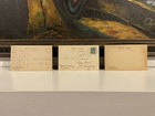 Lot Of 3 - Early 1900s - Antique Rotograph Postcards - Guinea Pigs   Parrots